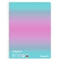 Set 14 x Caiet A4 Matematica Perforat, 80 de File Spira, Color Edition, Culoare Roz/Menta, Pelikan