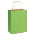 Set 2 x 100 Pungi Natur Colorate Verde Deschis, 20 x 9 x 25 cm