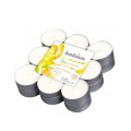 Set 2 x 18 Lumanari Pastila Bolsius, Mango si Bergamot, Timp de Ardere 4 Ore