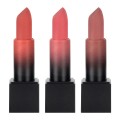 Set 2 x 3 Rujuri Mate Teayason Matte Lipstick C