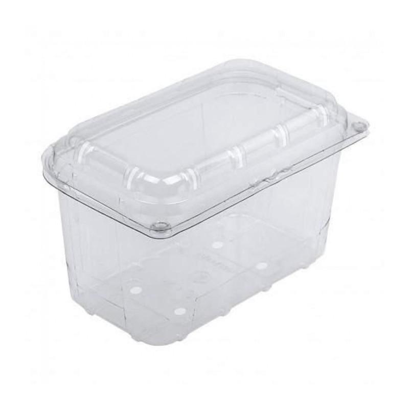 Set 2 x 480 Caserole din Plastic cu Capac Atasat pentru Fructe, 1000 g, 190 x 117 x 125 mm
