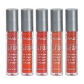 Set 2 x 5 Rujuri Lichide Mate Teayason Matte Lipgloss A
