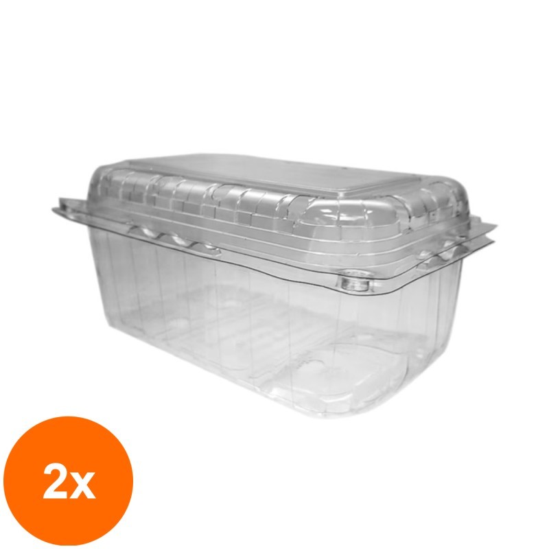 Set 2 x 600 Caserola din Plastic cu Capac Atasat pentru Fructe, 500 g, 190 x 117 x 96 mm