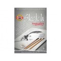 Set 2 x Bloc Predesenat Sketch, A4, 110gr/mp, 20 coli