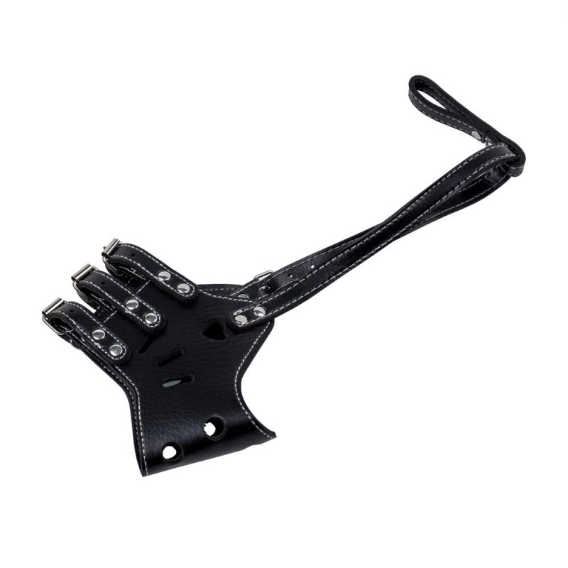 Set 2 x Botnita pentru Caini, Talie Mijlocie, Zilan