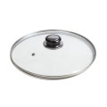 Set 2 x Capac pentru Oala, din Sticla, Diametru 24 cm, Zilan