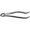 Set 2 x Cleste Extractie Nr. 31 pentru Radacini Inferiori, Prima