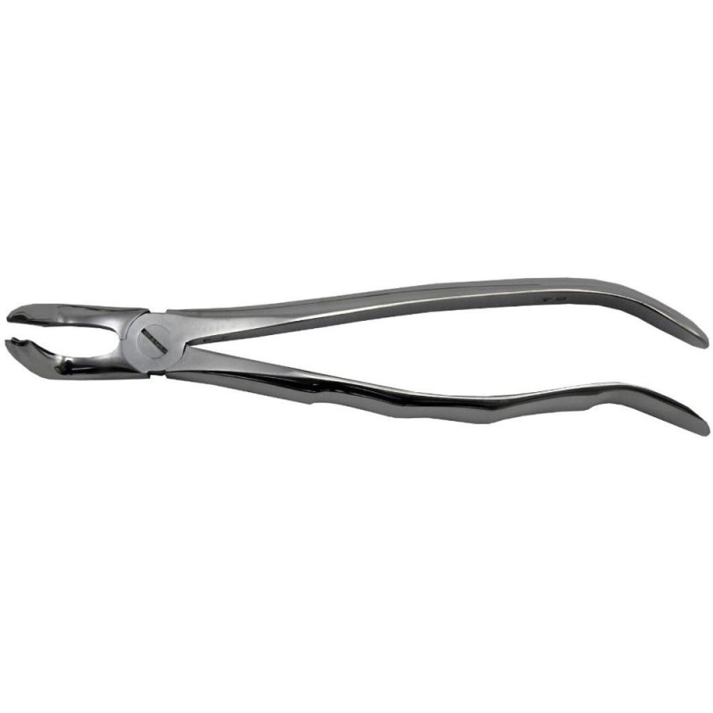 Set 2 x Cleste Extractie Nr. 79 pentru Molar de Minte Inferior cu Pinteni, Prima