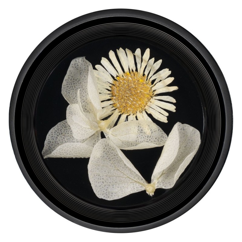 Set 2 x Flori Uscate Unghii Luxorise Blossom 08