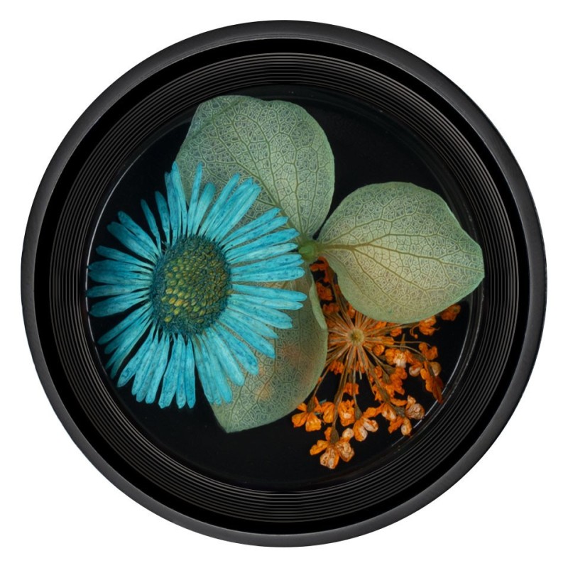 Set 2 x Flori Uscate Unghii Luxorise Blossom 09