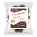 Set 2 x Fructe de Padure Bio in Mix de Ciocolata, 100 g