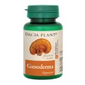 Set 2 x Ganoderma, 60 Comprimate, Dacia Plant
