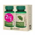 Set 2 x Ginkgo Biloba, 60 Comprimate 1+1 Cadou, Dacia Plant