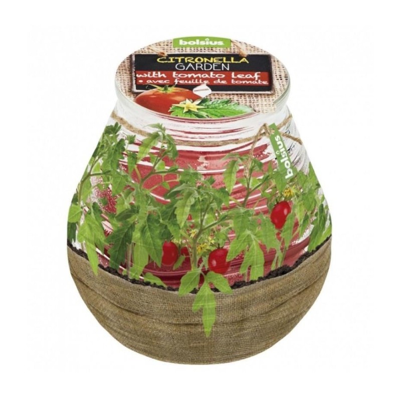 Set 2 x Lumanare Bolsius Citronella Patiolight, 94 x 91 mm, Frunze de Tomate
