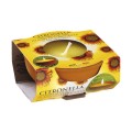 Set 2 x Lumanare Citronella in Ceramica, 10 Ore