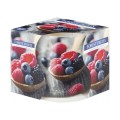 Set 2 x Lumanare Parfumata in Pahar Imprimat, Fructe de Padure, 22 Ore