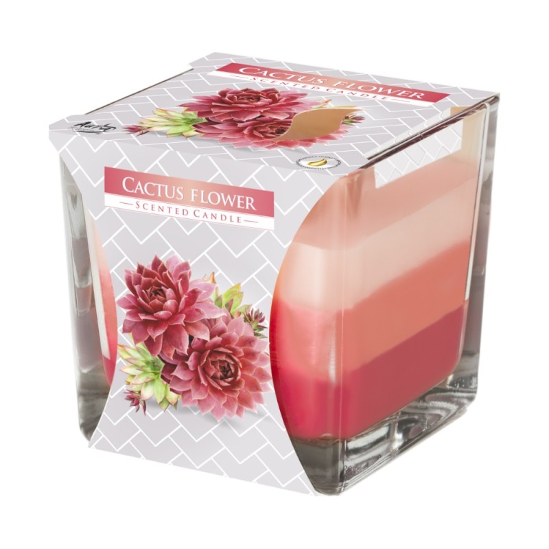 Set 2 x Lumanare Parfumata in Pahar in Trei Culori, Floare de Cactus, 32 Ore