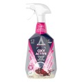 Set 2 x Oxy Active Solutie de Curatare pentru Covoare si Tapiterii, 750 ml