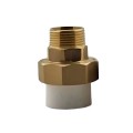Set 2 x Racord Olandez PPR, Filet Exterior, 25 mm x 3/4 inch, Z-tools