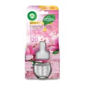Set 2 x Rezerve Odorizant de Camera Electric Air Wick Magnolia, 19 ml