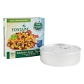 Set 2 x Salata de Somon Salbatic Mexico in Sos de Rosii BIO, 200 g, Fontaine