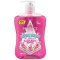 Set 2 x Sapun Lichid Antibacterian Protect+ Care Zmeura, 600 ml, Astonish