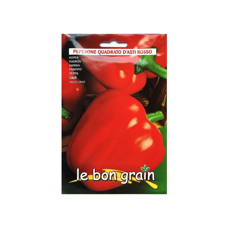 Set 2 x Seminte de Ardei Gras, Rosu, 100 g, Raci Sementi