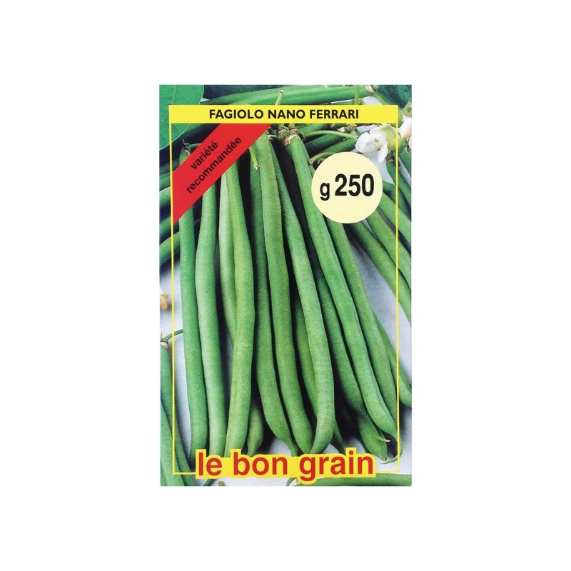Set 2 x Seminte de Fasole Verde Fideluta, Ferrari, 1 kg, Raci Sementi