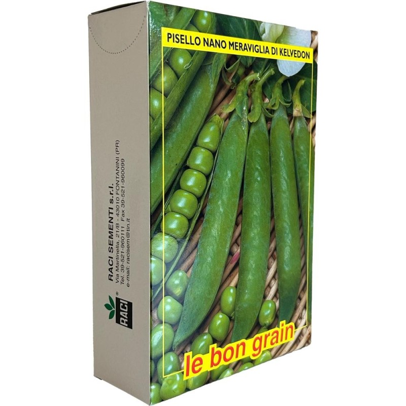 Set 2 x Seminte de Mazare, Kelvedon, 1 kg, Raci Sementi