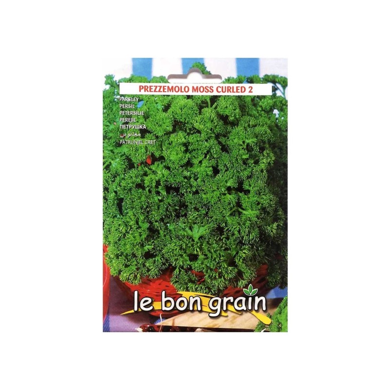 Set 2 x Seminte de Patrunjel Cret Moss, 100 g, Raci Sementi