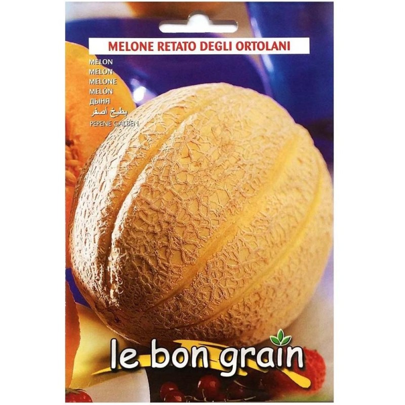Set 2 x Seminte de Pepene Galben, Retato Degli Ortolani, 100 g, Raci Sementi