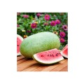 Set 2 x Seminte de Pepene Verde, Charleston Gray, 500 g, Raci Sementi
