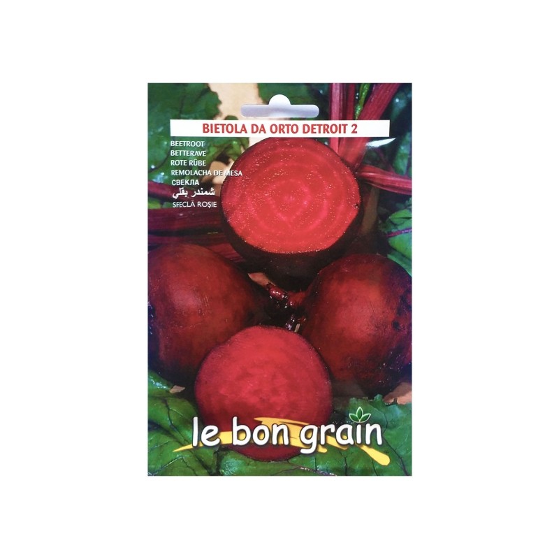 Set 2 x Seminte de Sfecla Rosie Detroit, 500 g, Raci Sementi