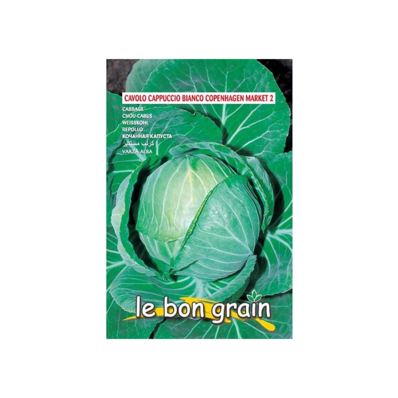 Set 2 x Seminte de Varza Alba, Capatana Rotunda, Mercato di Copenhagen, 100 g Raci Sementi
