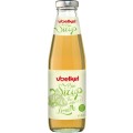 Set 2 x Sirop BIO de Limete 1:7, 500 ml, Voelkel