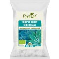 Set 2 x Sirop de Agave Cristalizat Pudra, BIO, Pronat, 200 g