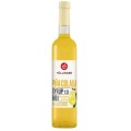 Set 2 x Sirop Pina Colada, Biogast, Bio, 500 ml
