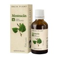 Set 2 x Tinctura de Mesteacan, 50 ml, Dacia Plant