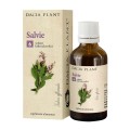 Set 2 x Tinctura de Salvie, 50 ml, Dacia Plant