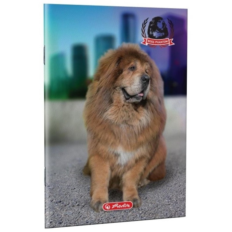 Set 25 x Caiet A4, 80 File, Matematica, Motiv Boss Phantom