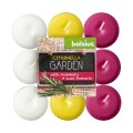 Set 3 x 18 Lumanari Pastila Bolsius Citronella, Rozmarin