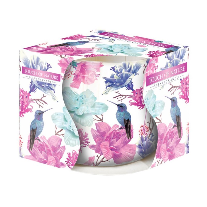 Set 3 x Lumanare Parfumata in Pahar Imprimat, Touch of Nature, 22 Ore