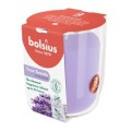 Set 3 x Lumanare Parfumata in Pahar, Lavanda, Bolsius, 80 x 73 mm