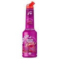 Set 3 x Pulpa Pitaya - Fructul Dragonului 100% Concentrat Piure Fructe Mixer 1 l
