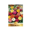 Set 3 x Seminte de Carciumarese, Zinnia Nana Pampon, Multicolor, 3 g