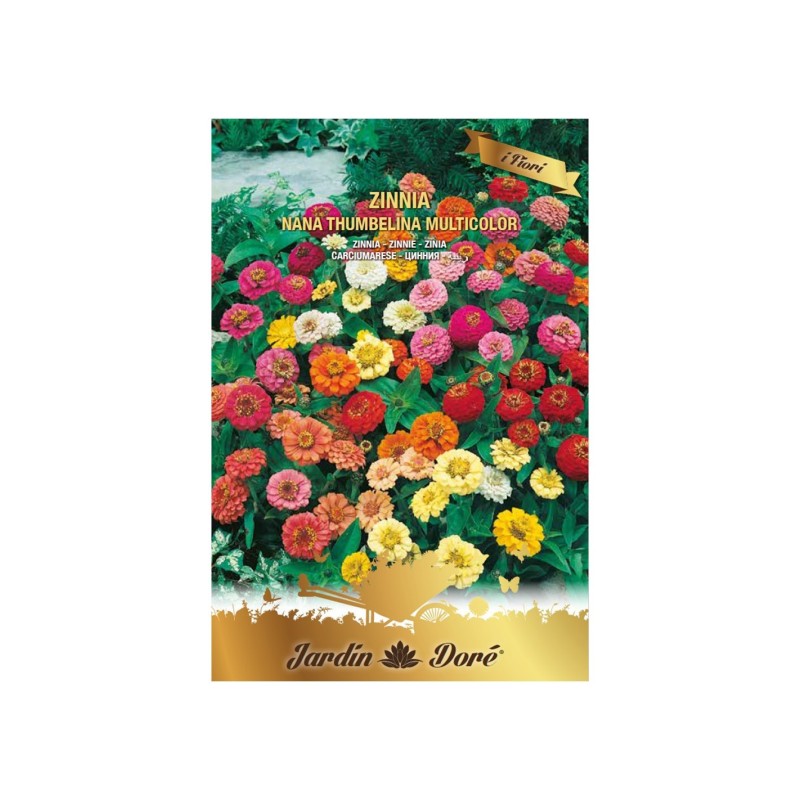 Set 3 x Seminte de Carciumarese, Zinnia Nana Thumbelina, Multicolor, 2 g