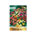 Set 3 x Seminte de Carciumarese, Zinnia Nana Thumbelina, Multicolor, 2 g