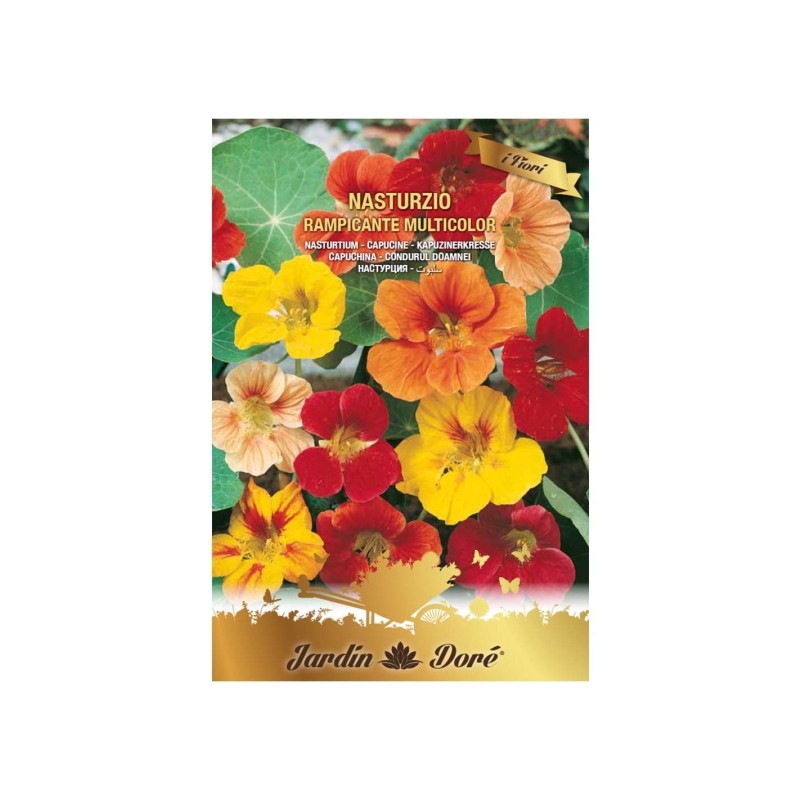 Set 3 x Seminte Flori Condurul Doamnei, Crestere Rapida, Amestec Multicolor, 5 g