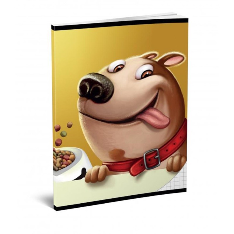 Set 4 x Caiet A5 Matematica, Lux, 42 File, 80 g