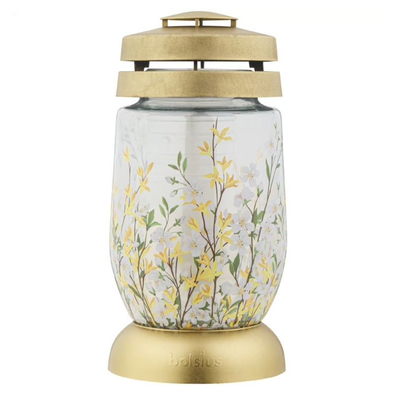 Set 4 x Candela Bolsius din Sticla 3 l Forsitia, Copacul de Aur